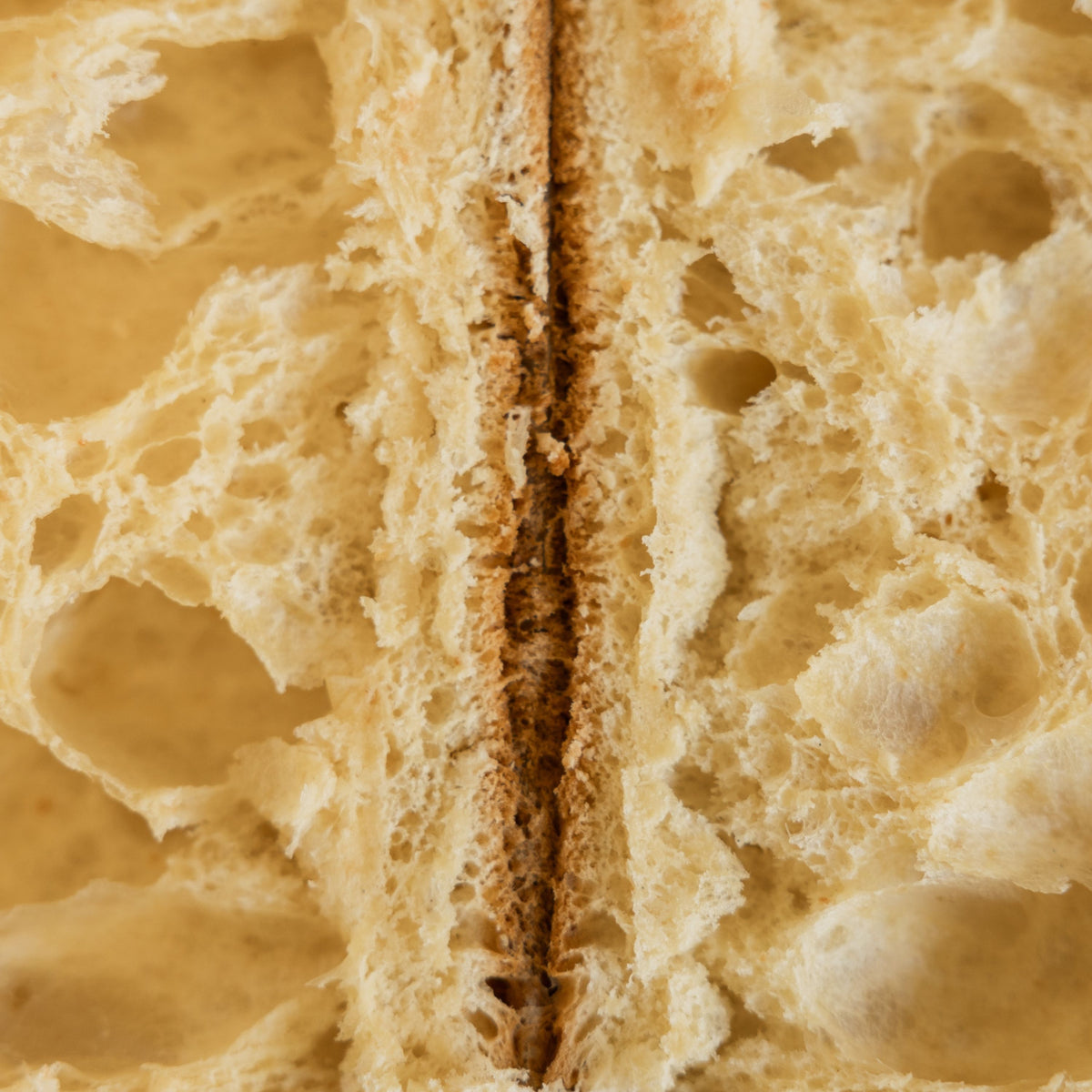 Panettone Senza Canditi e Senza Uvetta