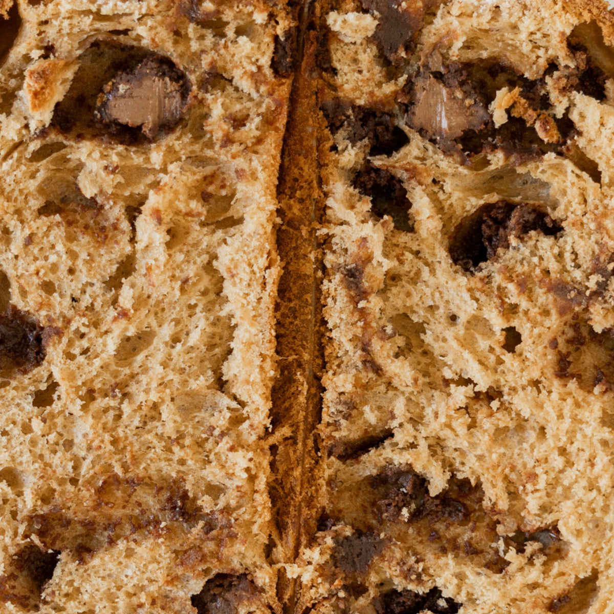 Panettone al Gianduia - 500 g