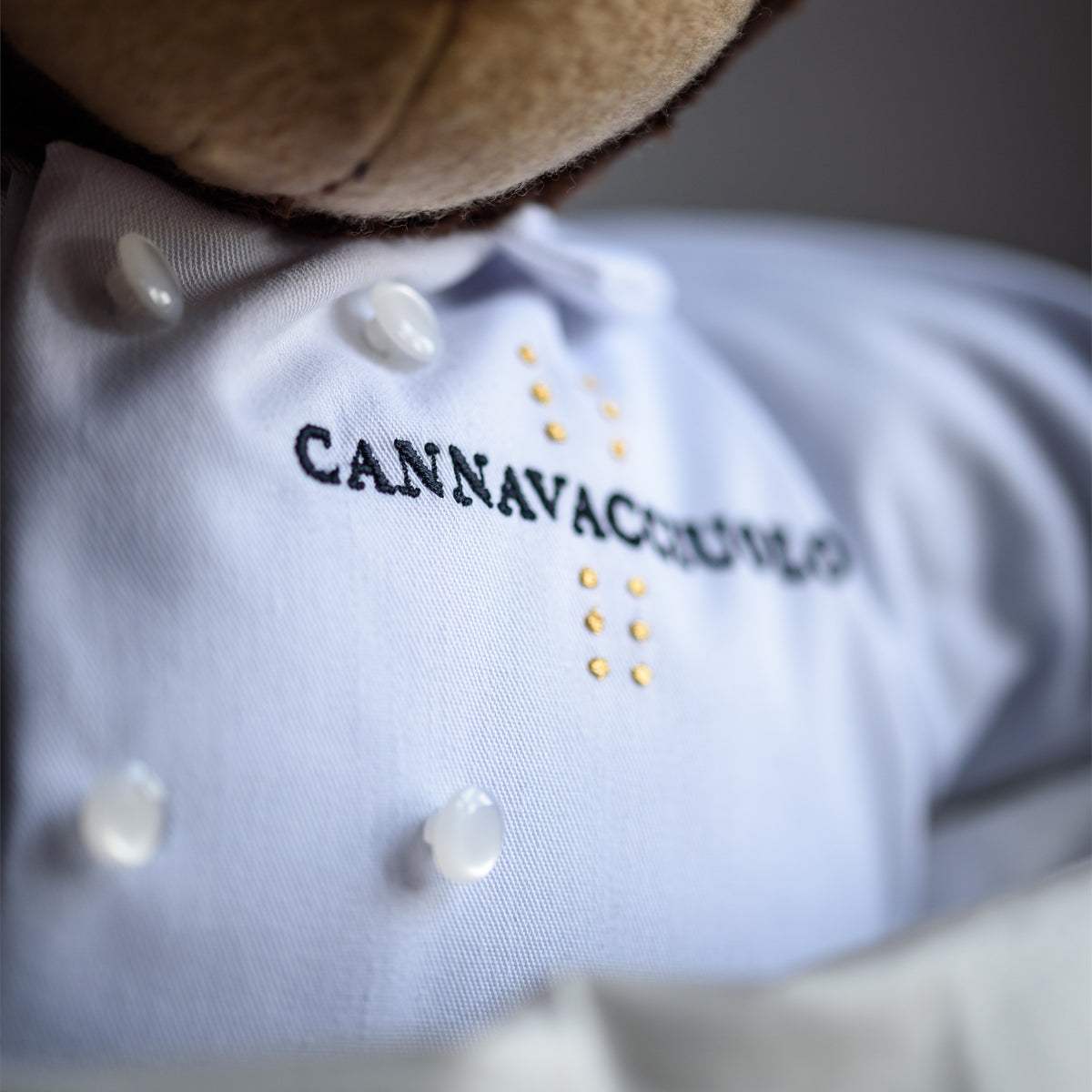 Dettaglio della giacca da chef ricamata del peluche Tony Bear